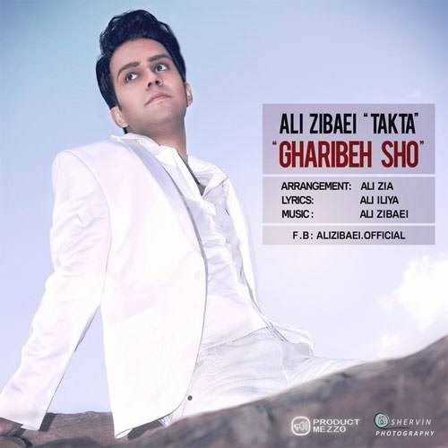  دانلود آهنگ جدید علی زیبایی - غریبه شو | Download New Music By Ali Zibaei - Gharibeh Sho