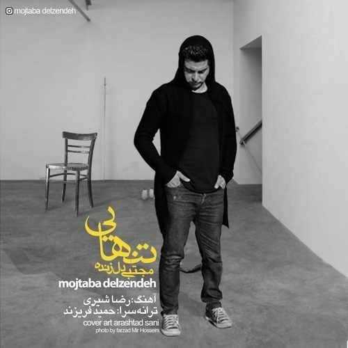  دانلود آهنگ جدید مجتبی دل زنده - تنهایی | Download New Music By Mojtaba Delzendeh - Tanhaei
