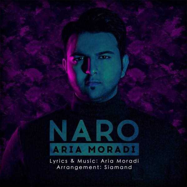  دانلود آهنگ جدید آریا مرادی - نرو | Download New Music By Aria Moradi - Naro