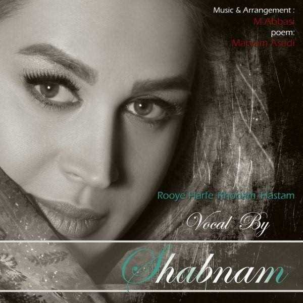  دانلود آهنگ جدید شبنم - روی حرفه خودم هستم | Download New Music By Shabnam - Rooye Harfe Khodam Hastam