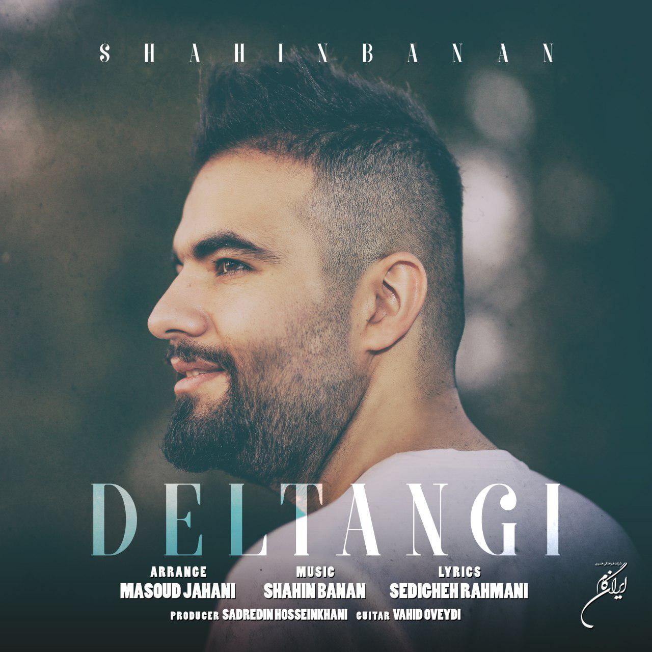  دانلود آهنگ جدید شاهین بنان - دلتنگی | Download New Music By Shahin Banan - Deltangi