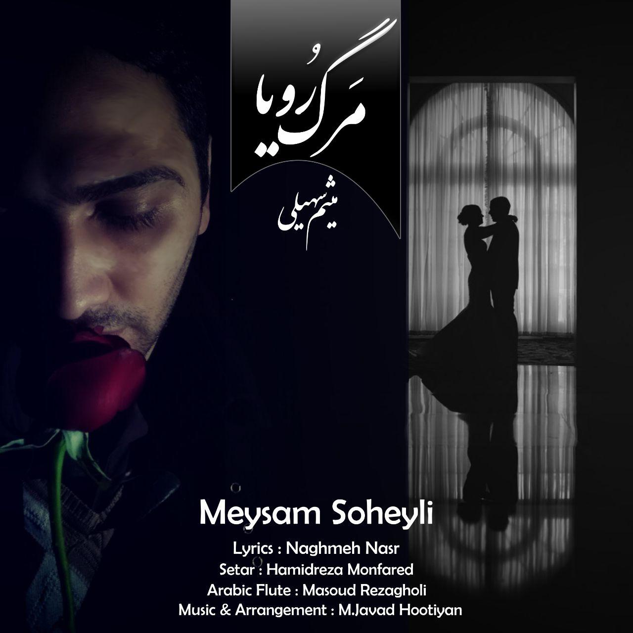  دانلود آهنگ جدید میثم سهیلی - مرگ رویا | Download New Music By Meysam Soheyli - Marge Roya