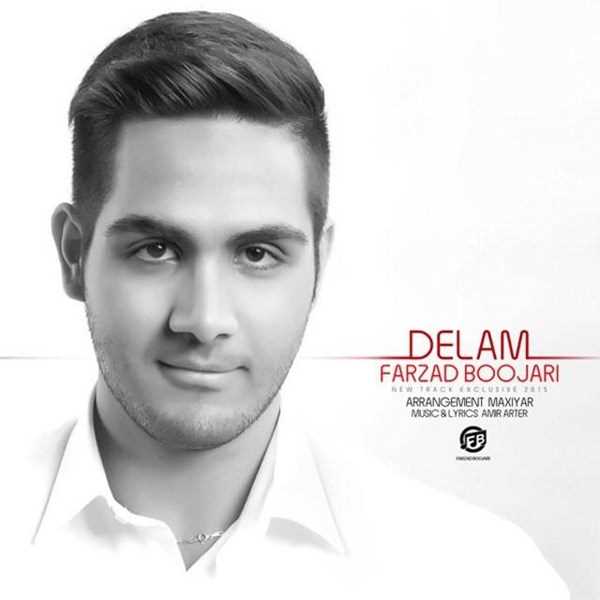  دانلود آهنگ جدید Farzad Boojari - Delam | Download New Music By Farzad Boojari - Delam