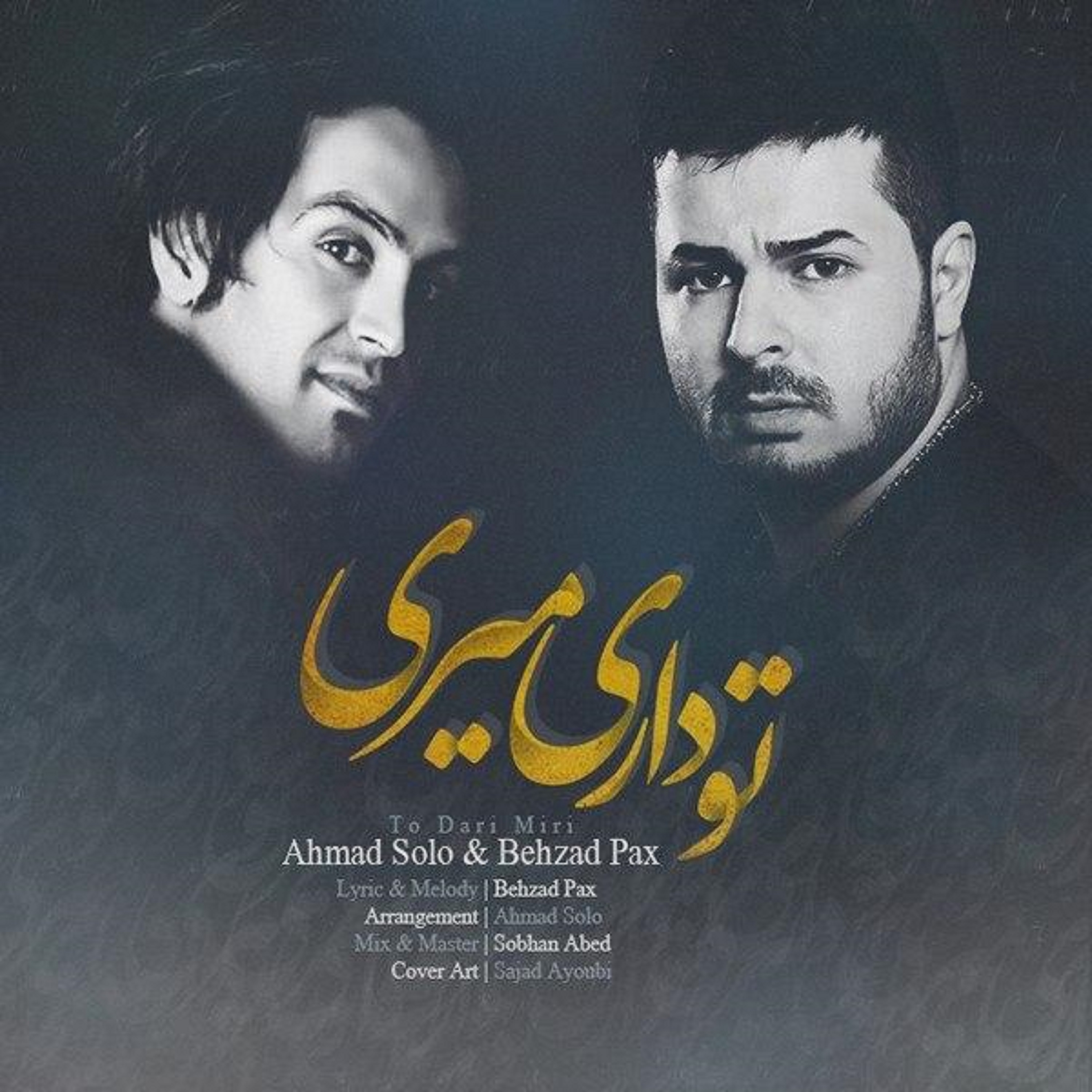  دانلود آهنگ جدید احمد سلو - تو داری میری | Download New Music By Ahmad Solo - To Dari Miri (feat. Behzad Pax)