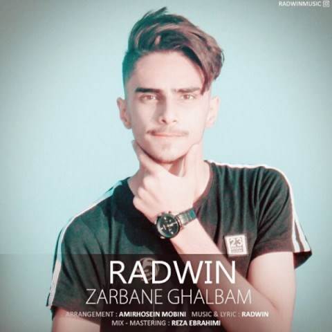  دانلود آهنگ جدید رادوین - ضربان قلبم | Download New Music By Radwin - Zarbane Ghalbam