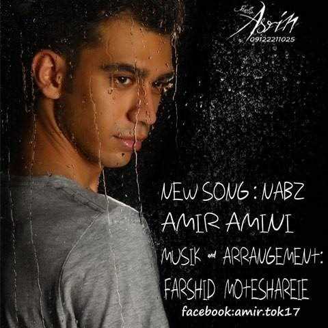  دانلود آهنگ جدید Amir Amini - Nabz | Download New Music By Amir Amini - Nabz