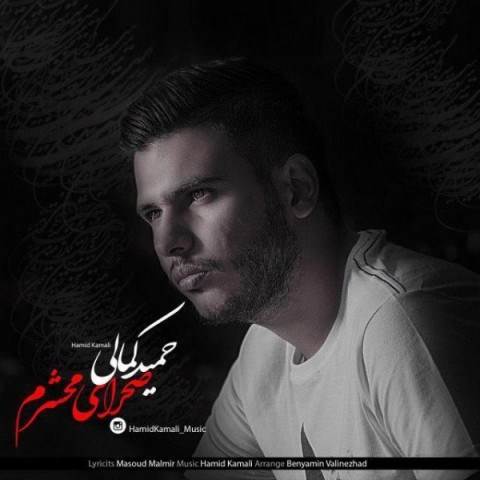  دانلود آهنگ جدید حمید کمالی - صحرای محشرم | Download New Music By Hamid Kamali - Sahraye Mahsharam