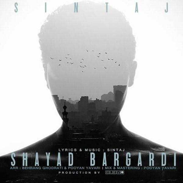  دانلود آهنگ جدید سینتاج - شیاد برگردی | Download New Music By Sintaj - Shayad Bargardi