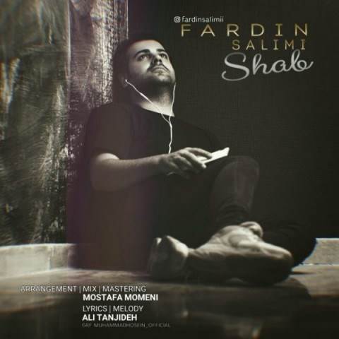  دانلود آهنگ جدید فردین سلیمی - شب | Download New Music By Fardin Salimi - Shab