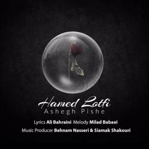  دانلود آهنگ جدید حامد لطفی - عاشق پیشه | Download New Music By Hamed Lotfi - Ashegh Pishe