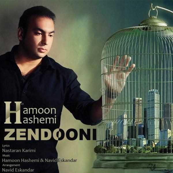  دانلود آهنگ جدید Hamoon Hashemi - Zendooni | Download New Music By Hamoon Hashemi - Zendooni