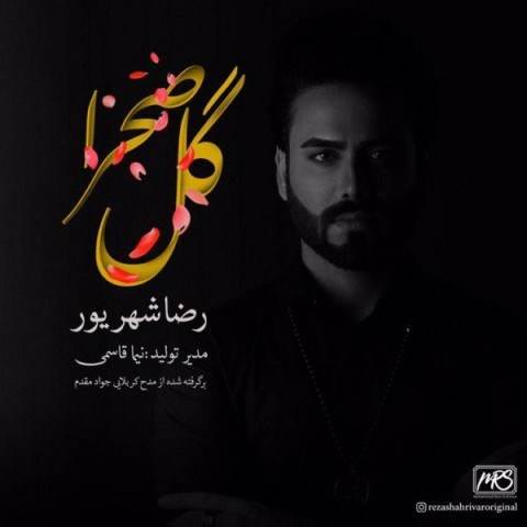  دانلود آهنگ جدید رضا شهریور - گل صحرا | Download New Music By Reza Shahrivar - Gole Sahra