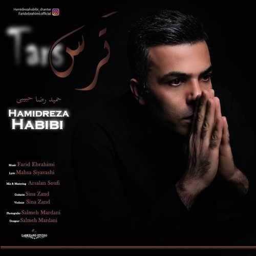  دانلود آهنگ جدید حمیدرضا حبیبی - ترس | Download New Music By Hamidreza Habibi - Tars