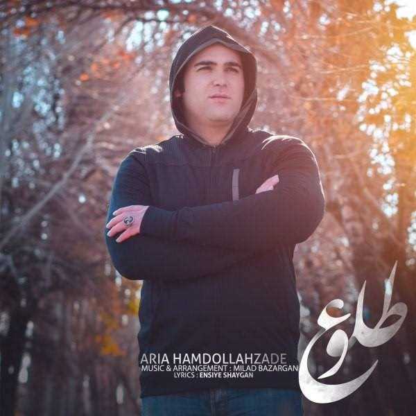  دانلود آهنگ جدید آریا همدوللاهزاده - طلو | Download New Music By Aria Hamdollahzadeh - Tolou