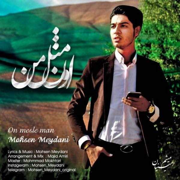  دانلود آهنگ جدید محسن میدانی - اون مثل من | Download New Music By Mohsen Meydani - On Mesle Man