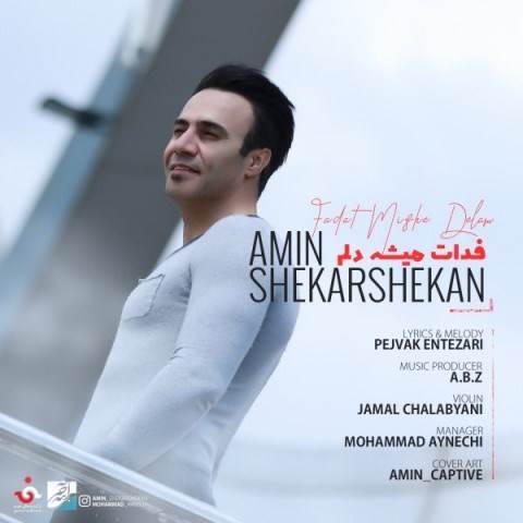  دانلود آهنگ جدید امین شکرشکن - فدات میشه دلم | Download New Music By Amin Shekarshekan - Fadat Mishe Delam