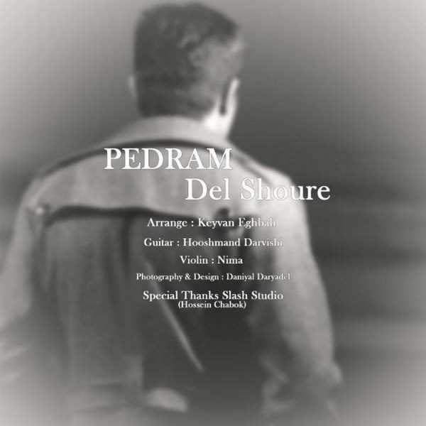  دانلود آهنگ جدید پدرام - دلشوره | Download New Music By Pedram - Delshoore