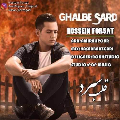 دانلود آهنگ جدید حسین فرصت - قلب سرد | Download New Music By Hossein Forsat - Galb Sard