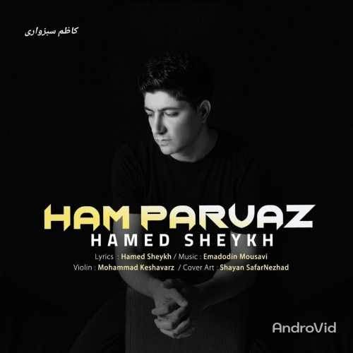  دانلود آهنگ جدید حامد شیخ - هم پرواز | Download New Music By Hamed Sheykh - Ham Parvaz