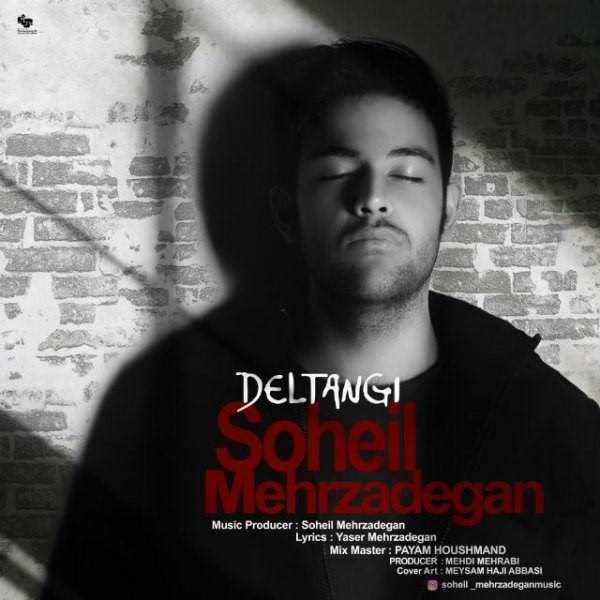  دانلود آهنگ جدید Soheil Mehrzadegan - Deltangi | Download New Music By Soheil Mehrzadegan - Deltangi