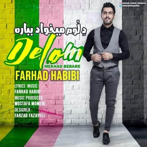  دانلود آهنگ جدید فرهاد حبیبی - دلوم‌ میخواد بباره | Download New Music By Farhad Habibi - Delom Mikhad Bebare