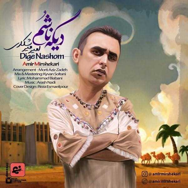  دانلود آهنگ جدید امیر میرشکاری - دیگه ناشوم | Download New Music By Amir Mirshekari - Dige Nashom