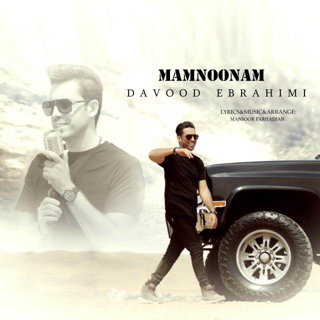  دانلود آهنگ جدید داوود ابراهیمی - ممنونم | Download New Music By Davood Ebrahimi - Mamnoonam
