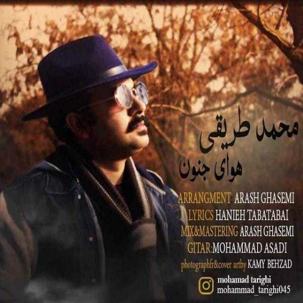  دانلود آهنگ جدید محمد طریقی - هوای جنون | Download New Music By Mohammad Tarighi - Havaie Jonoon