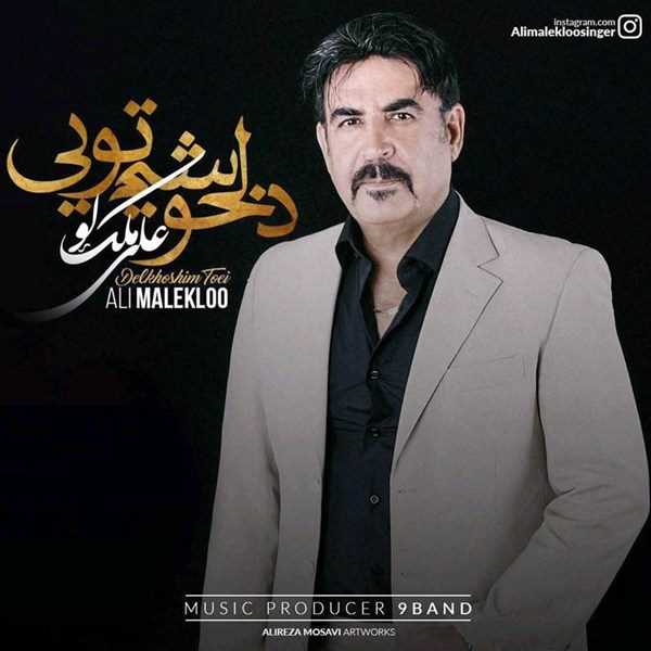  دانلود آهنگ جدید علی ملک لو - دلخوشیم تویی | Download New Music By Ali Malekloo - Del Khoshim Toee