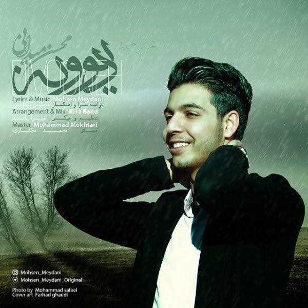  دانلود آهنگ جدید Mohsen Meydani - Divooneh | Download New Music By Mohsen Meydani - Divooneh