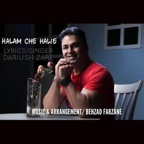  دانلود آهنگ جدید داریوش زارع - حالم چه حالیه | Download New Music By Dariush Zare - Halam Che Halie