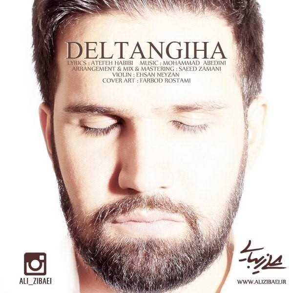  دانلود آهنگ جدید علی زیبایی - دلتنگی ها | Download New Music By Ali Zibaei - Deltangiha