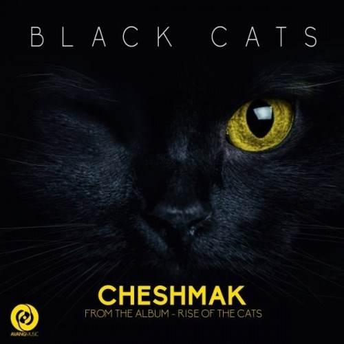  دانلود آهنگ جدید بلک کتس - چشمک | Download New Music By Black Cats - Cheshmak