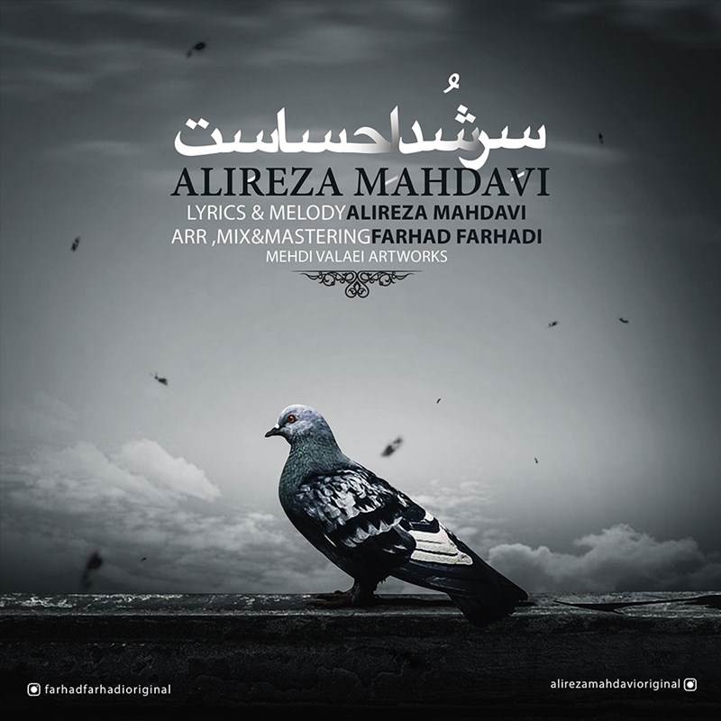  دانلود آهنگ جدید علیرضا مهدوی - سر شد احساست | Download New Music By Alireza Mahdavi - Ser Shod Ehsaset