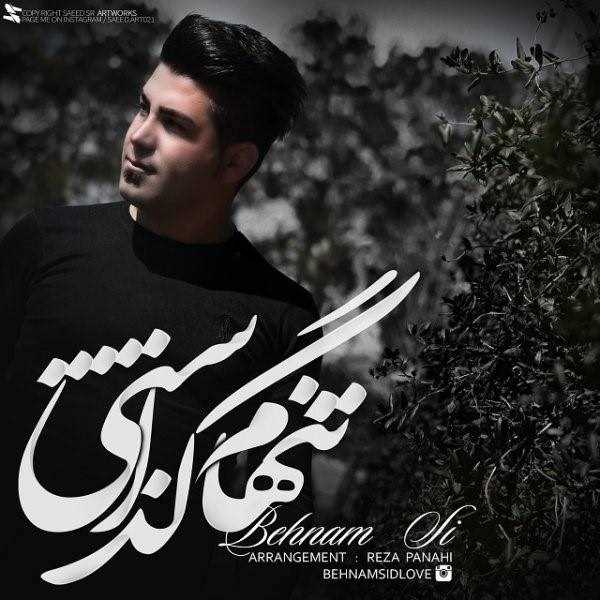  دانلود آهنگ جدید بهنام سی - تنهام گذشتی | Download New Music By Behnam Si - Tanham Gozashti