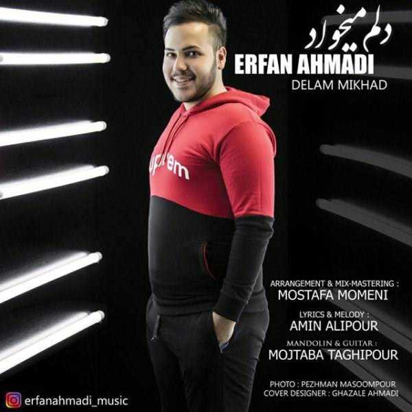  دانلود آهنگ جدید عرفان احمدی - دلم میخواد | Download New Music By Erfan Ahmadi - Delam Mikhad