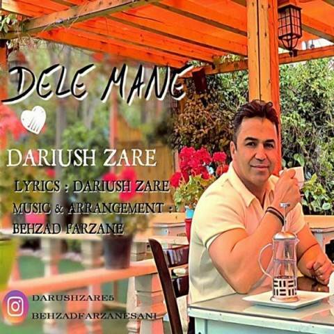  دانلود آهنگ جدید داریوش زارع - دل من | Download New Music By Dariush Zare - Dele Mane
