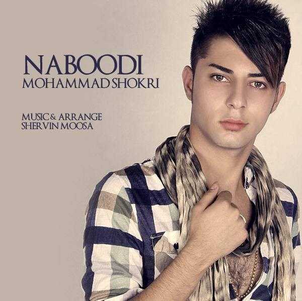  دانلود آهنگ جدید محمد شکری - نابودی | Download New Music By Mohammad Shokri - Nabodi