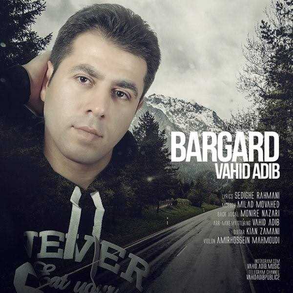  دانلود آهنگ جدید وحید ادیب - برگرد | Download New Music By Vahid Adib - Bargard