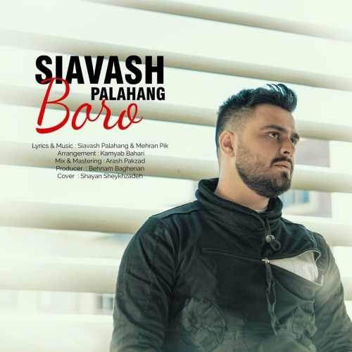  دانلود آهنگ جدید سیاوش پالاهنگ - برو | Download New Music By Siavash Palahang - Boro