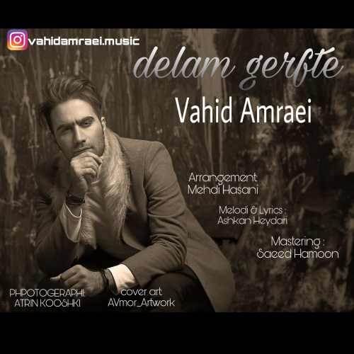  دانلود آهنگ جدید وحید امرایی - دلم گرفته | Download New Music By Vahid Amraei - Delam Gerfte