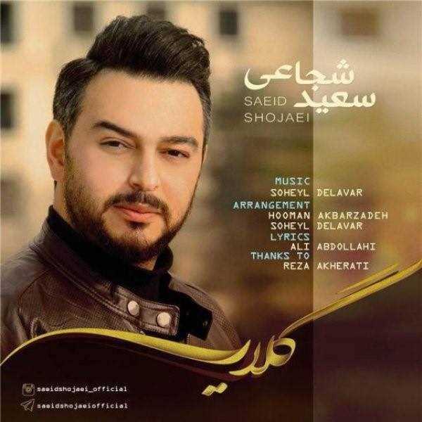  دانلود آهنگ جدید سید شجاعی - گلایه | Download New Music By Saeid Shojaei - Gelaye