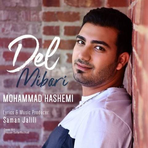  دانلود آهنگ جدید محمد هاشمی - دل میبری | Download New Music By Mohammad Hashemi - Del Mibari